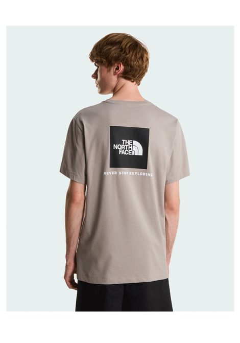 T-shirt The North Face Evolution Box NSE Regular Stone Slab Uomo THE NORTH FACE | T-shirt | NF0A8B6K-2MB